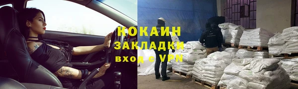 бошки Белокуриха