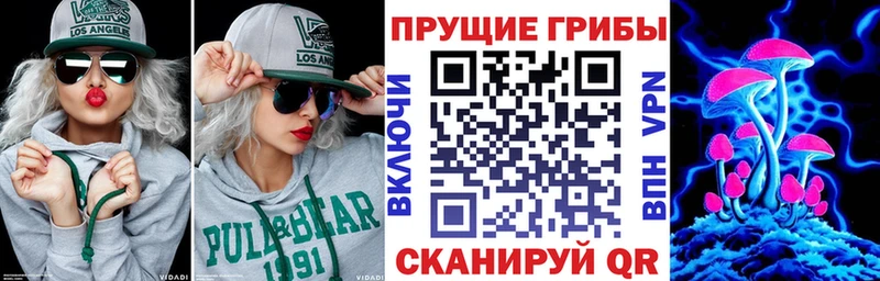 Псилоцибиновые грибы Psilocybine cubensis  Жиздра 