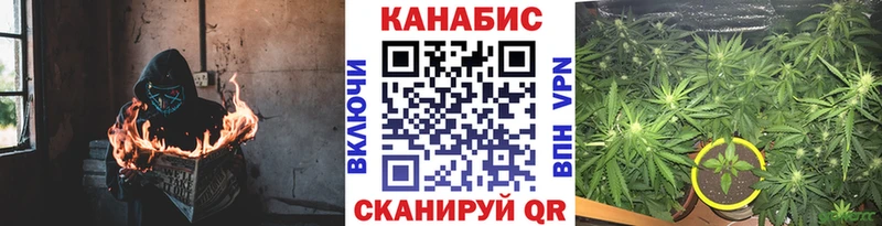 МАРИХУАНА White Widow купить Жиздра